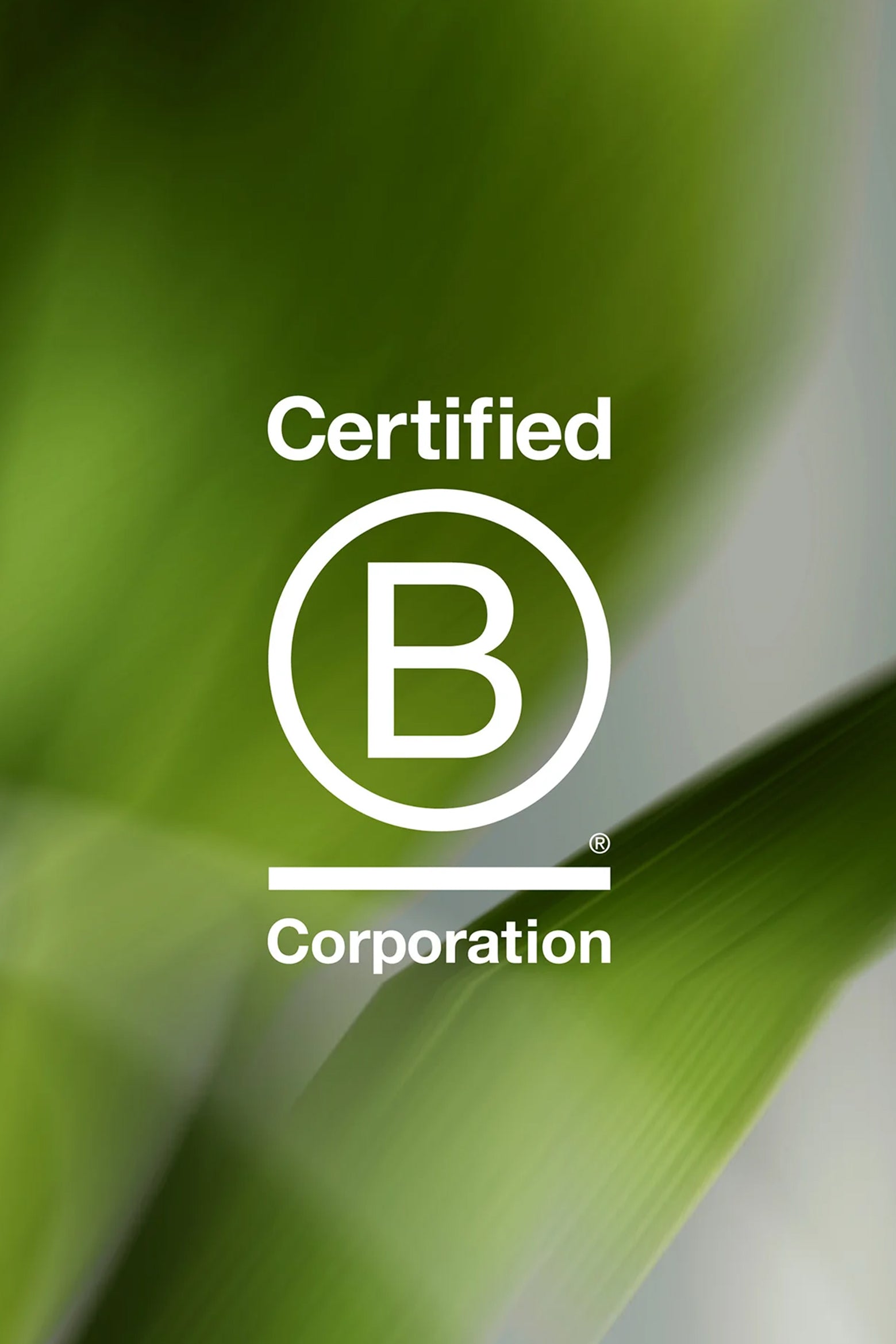 iBrush™ Pro - Grey | Electric