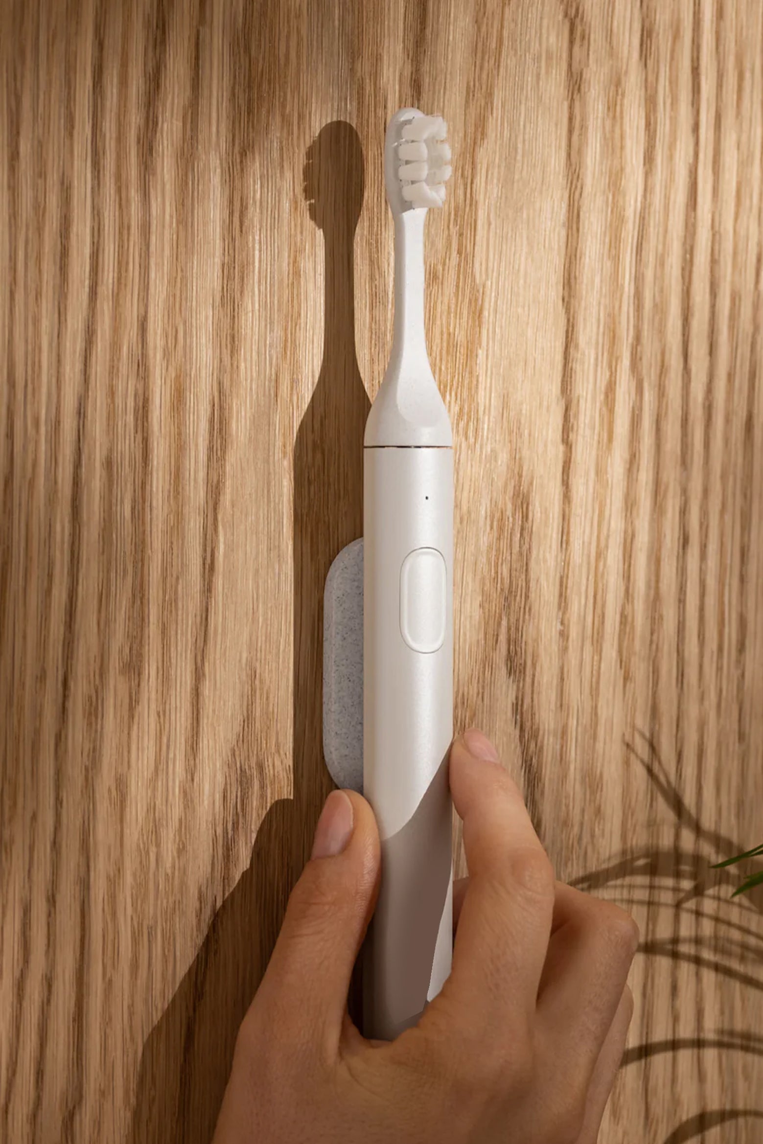 iBrush™ White | Electric